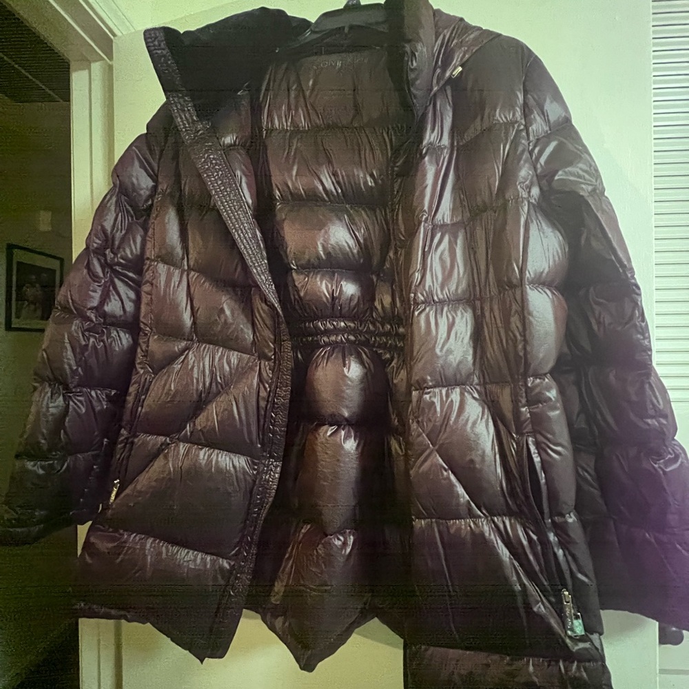 Burgundy Calvin Klein jacket